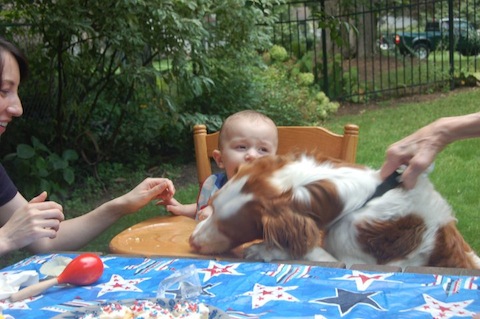 callum said I could have it